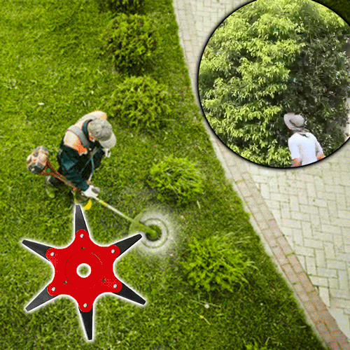 AEXZR® 6 Stahlrasierer-Trimmerkopf