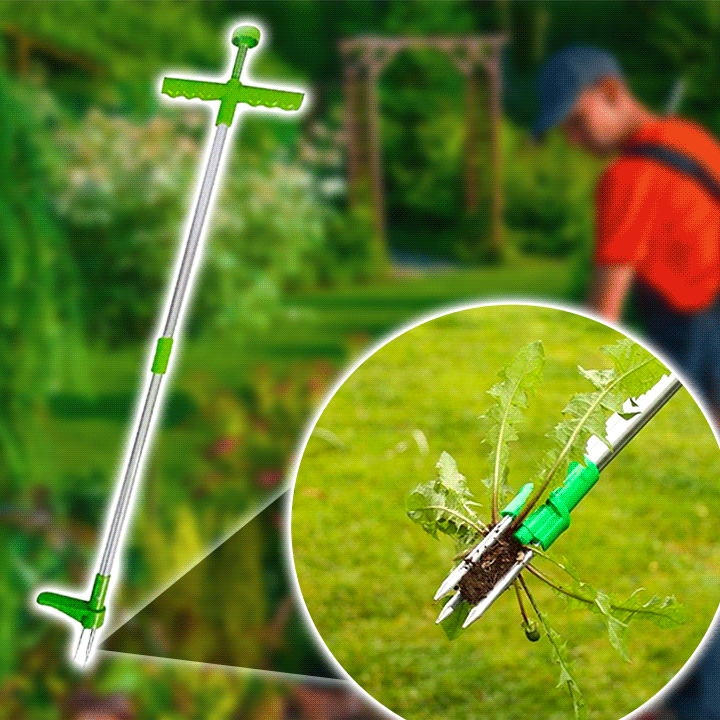 AEXZR® Wurzelentferner für stehende Pflanzen