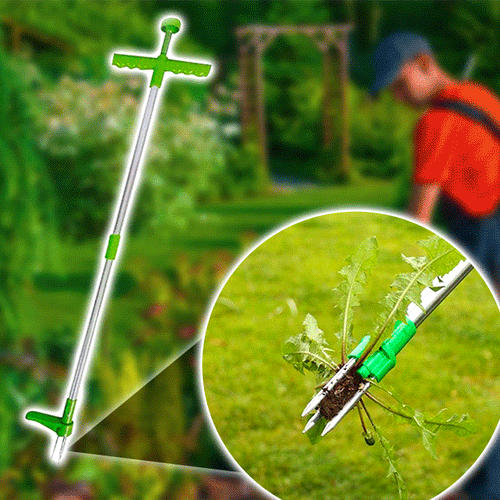 AEXZR® Wurzelentferner für stehende Pflanzen