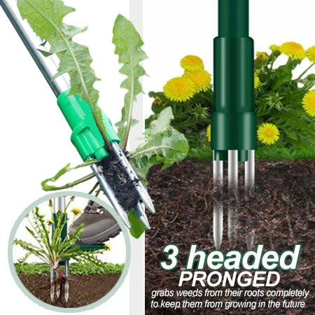 AEXZR® Wurzelentferner für stehende Pflanzen