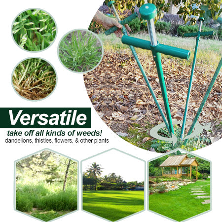 AEXZR® Wurzelentferner für stehende Pflanzen